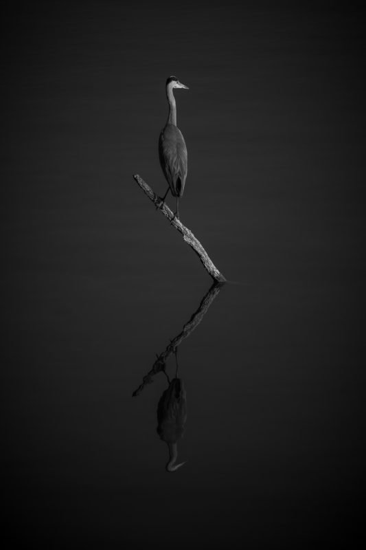 104359BA-6092-4C8F-B54B-1CCC0E48365C_1_105_c