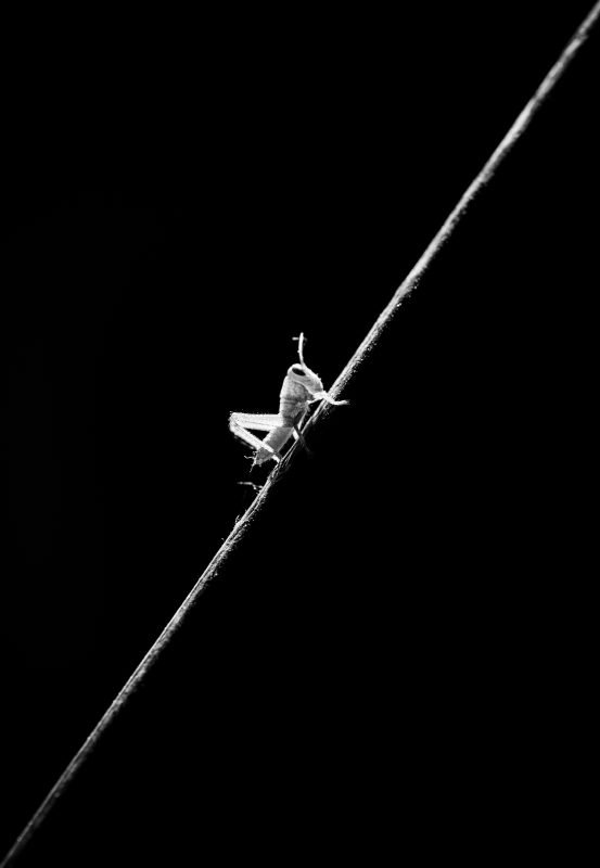 450E48BD-D8C2-491E-B8FE-B2DADCFF8F3A