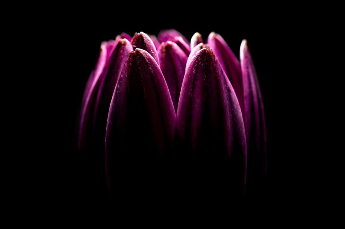 75E6BE92-B9D3-44BB-B596-B42F231B738D_1_105_c