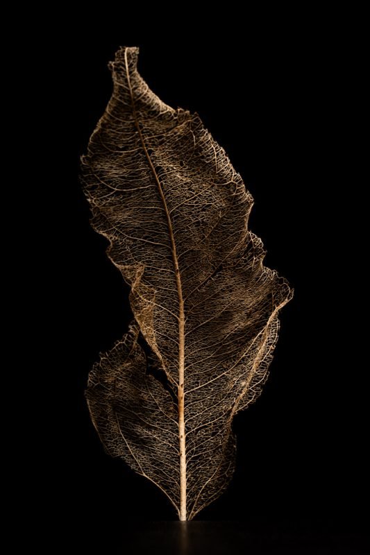 C136CBE6-2A2A-40C1-9708-33F9E7612330_1_105_c