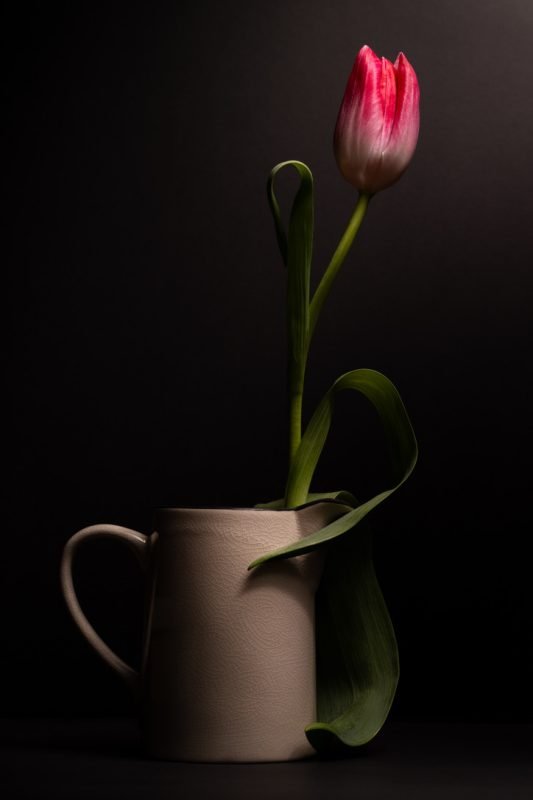 C7A3A4E1-7542-45EB-8237-97BFF4D34FE5_1_105_c